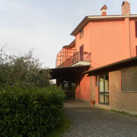 Il Contado B&B Castel Sant'Elia Exterior photo