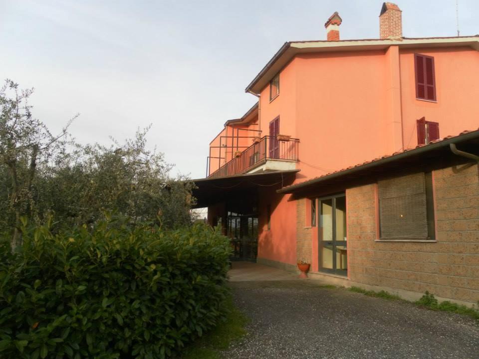 Il Contado B&B Castel Sant'Elia Exterior photo